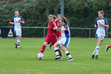 Bild 142 - B-Juniorinnen SV Henstedt Ulzburg - SV Wahlstedt : Ergebnis: 11:0